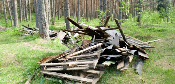 Debris Removal Service in Trenton