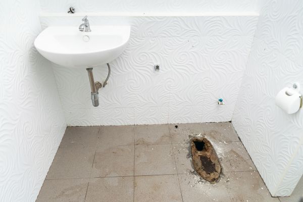 Toilet Disposal in Trenton